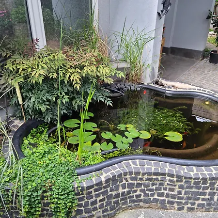 3 Zimmer Apartment Mit Garten
