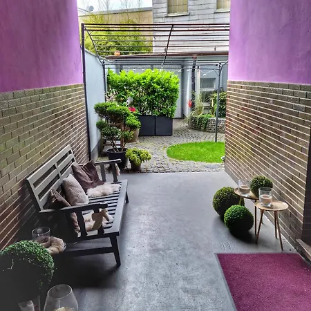 3 Zimmer Apartment Mit Garten *